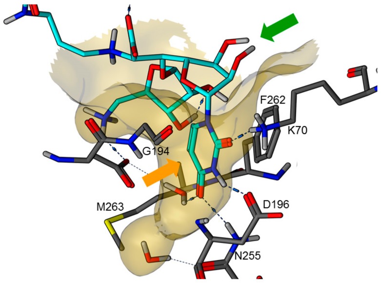 Figure 2