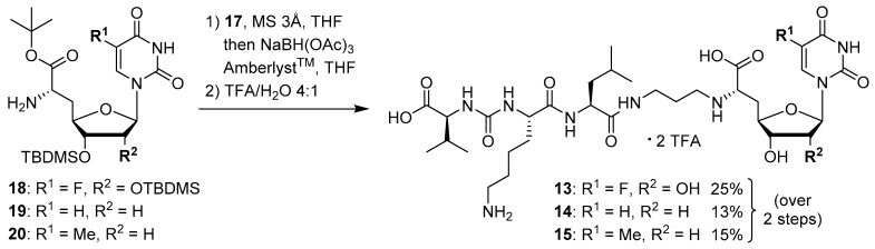 Scheme 4