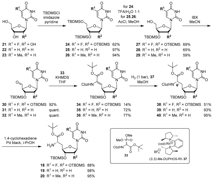 Scheme 3