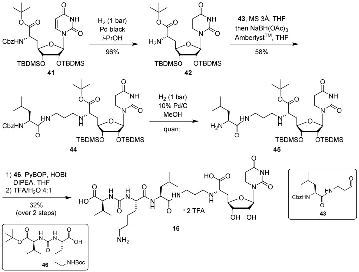 Scheme 5