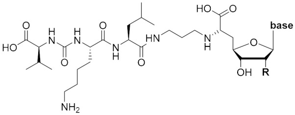 graphic file with name molecules-25-00022-i001.jpg