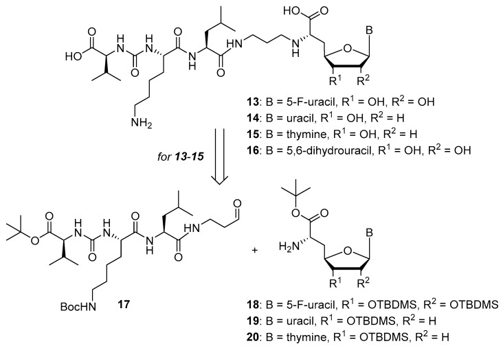 Scheme 2