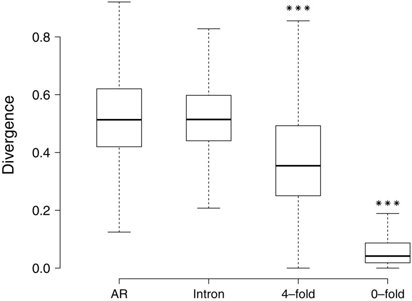 FIG. 1.—