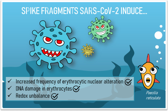 Unlabelled Image