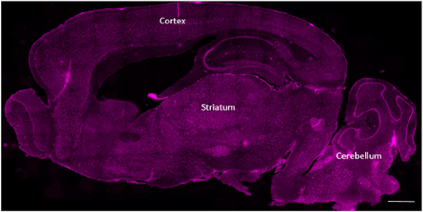 Figure 3.