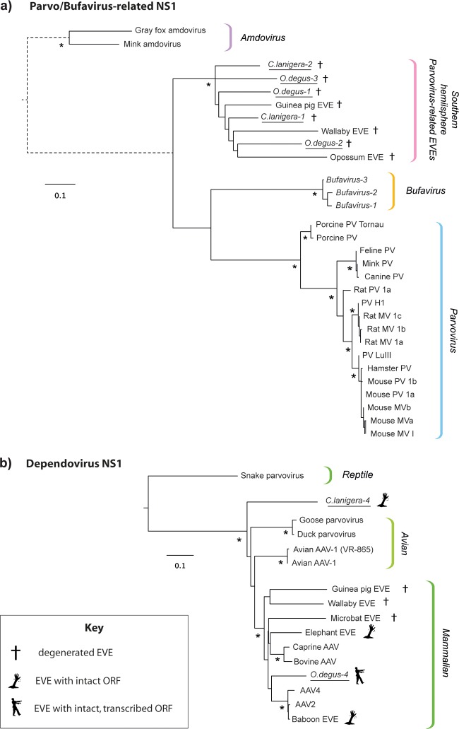 FIG 2