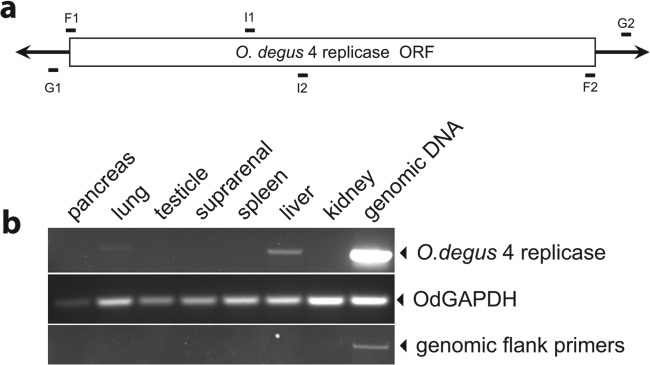 FIG 3