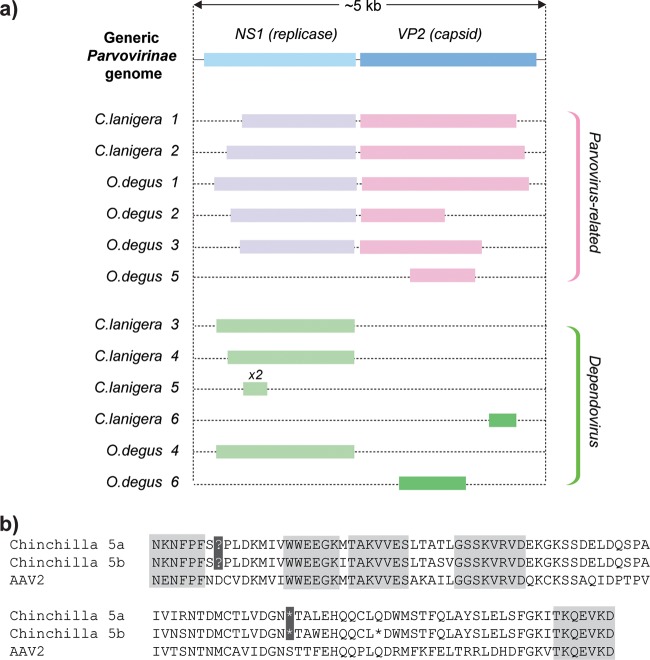 FIG 1