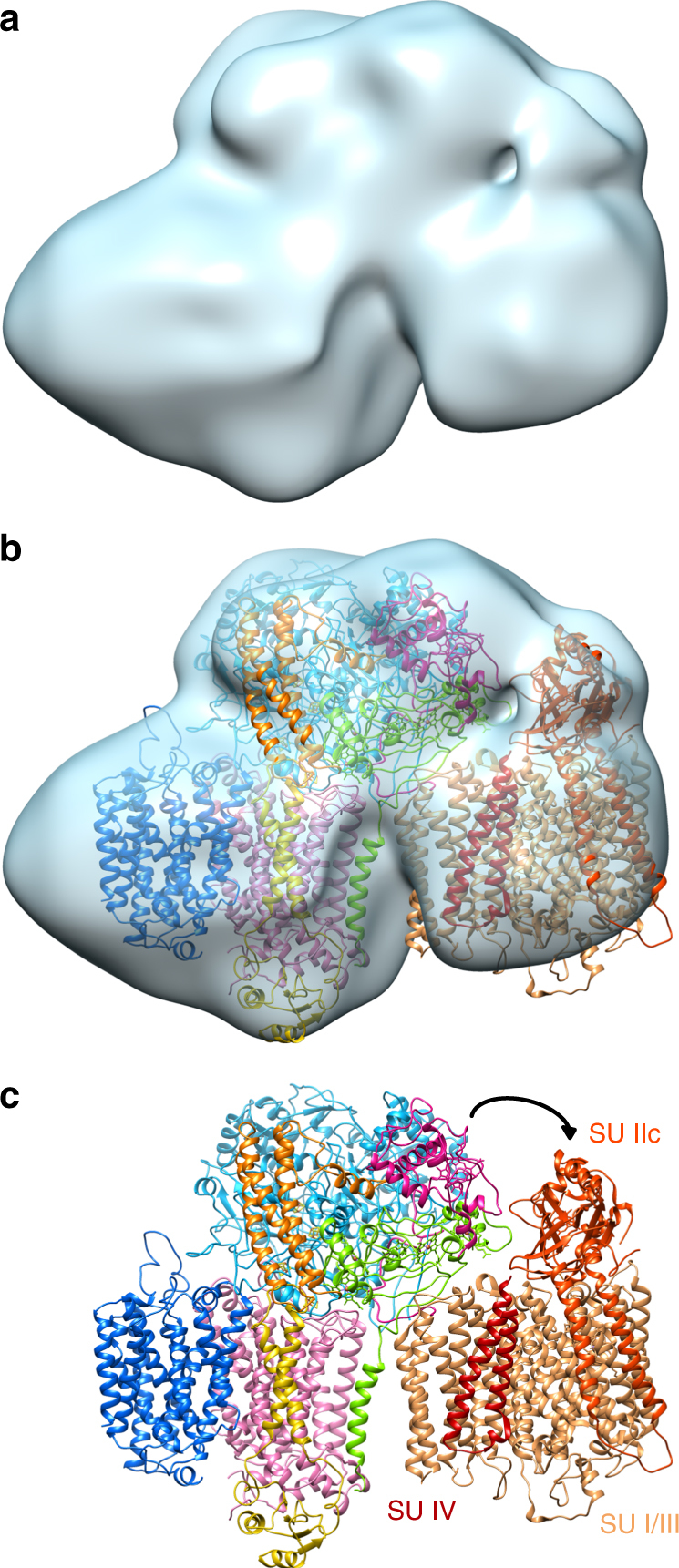 Fig. 2