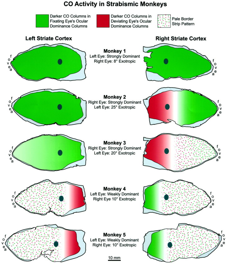 Fig. 13.