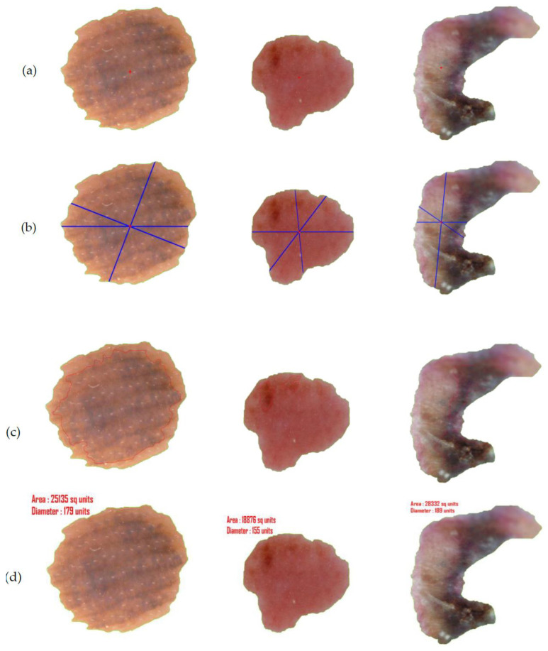 Figure 14