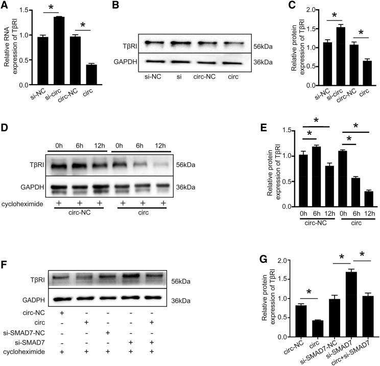 Figure 6