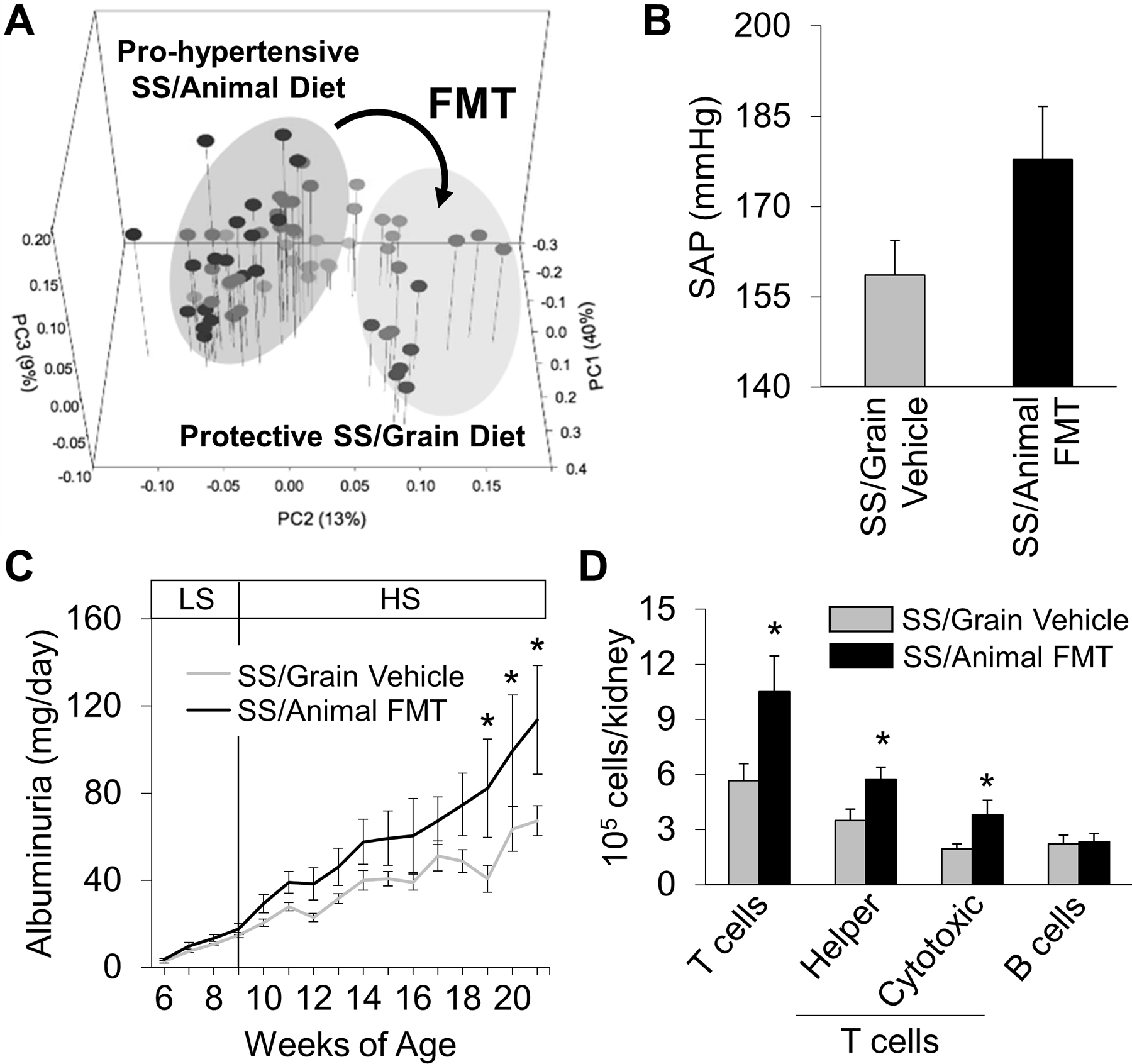 FIGURE 3: