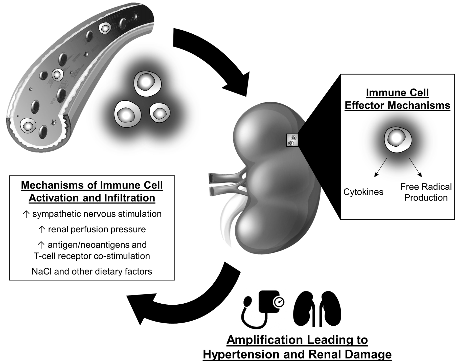 FIGURE 1: