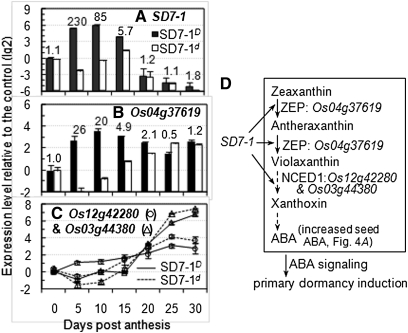 Figure 6 