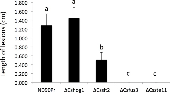 Fig 5