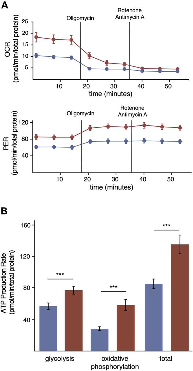 Fig. 4