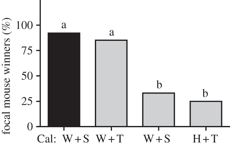 Figure 2.