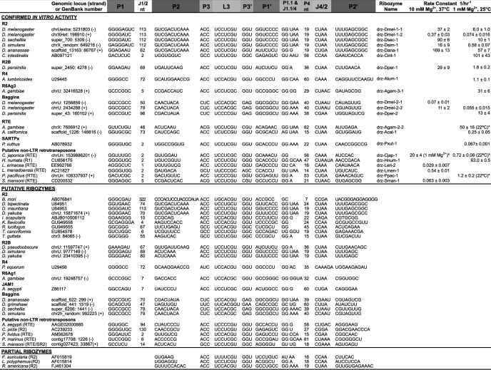 graphic file with name zbc051118883t001.jpg