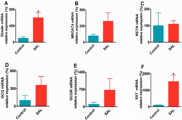 Figure 7