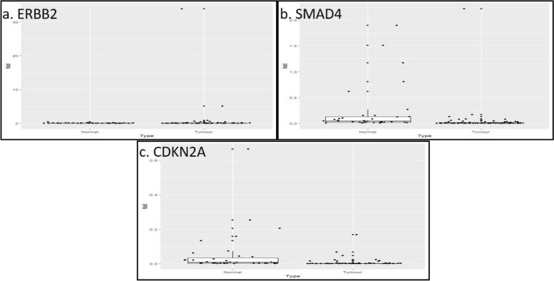 Fig. 3