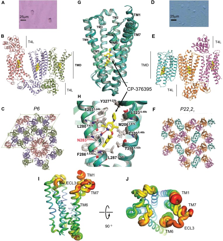 Fig. (1)