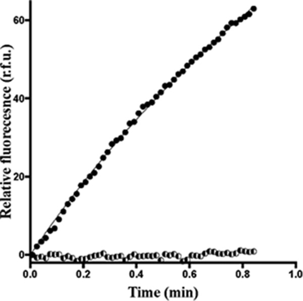 Figure 7.