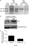 <b>Figure 9.</b>