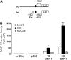 <b>Figure 2.</b>