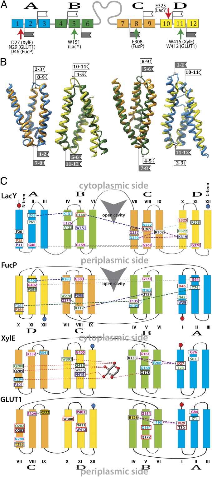 Fig. 1.