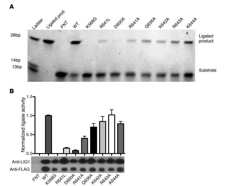 Figure 5