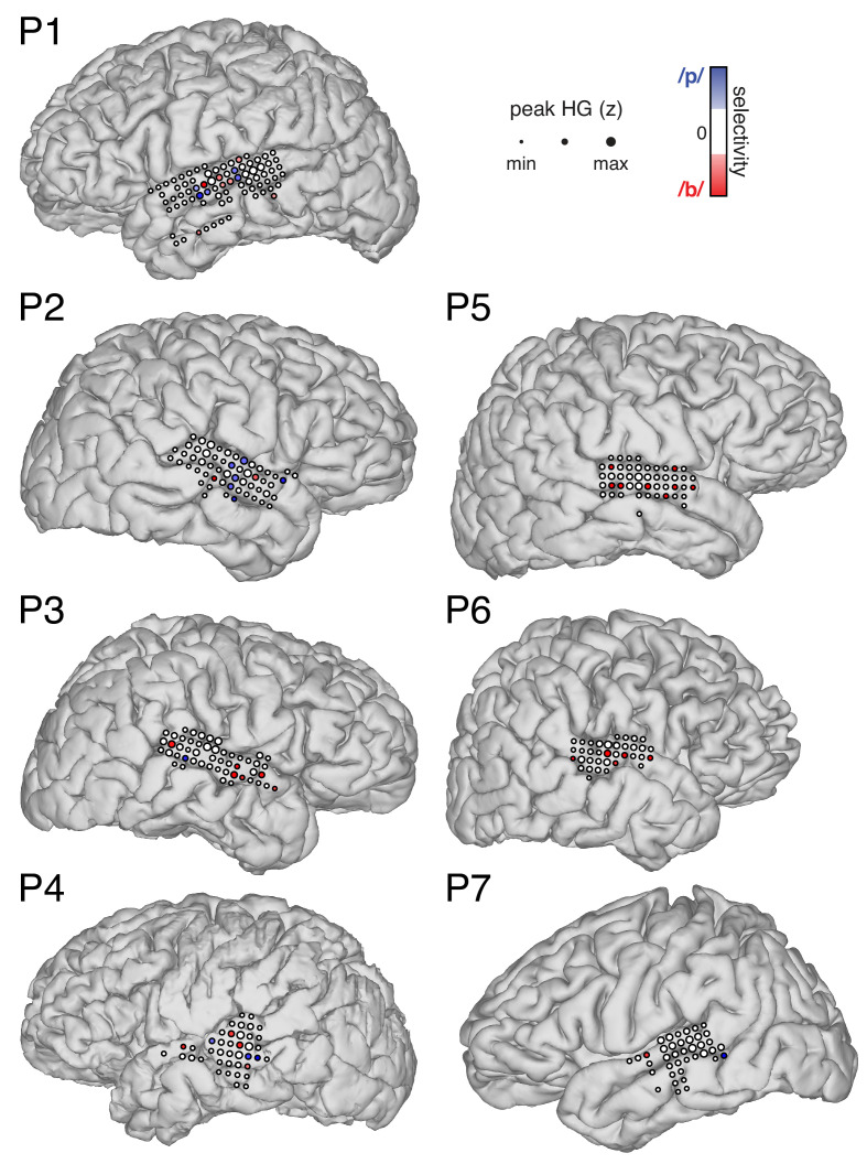 Figure 1—figure supplement 2.