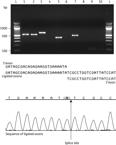 Figure 4