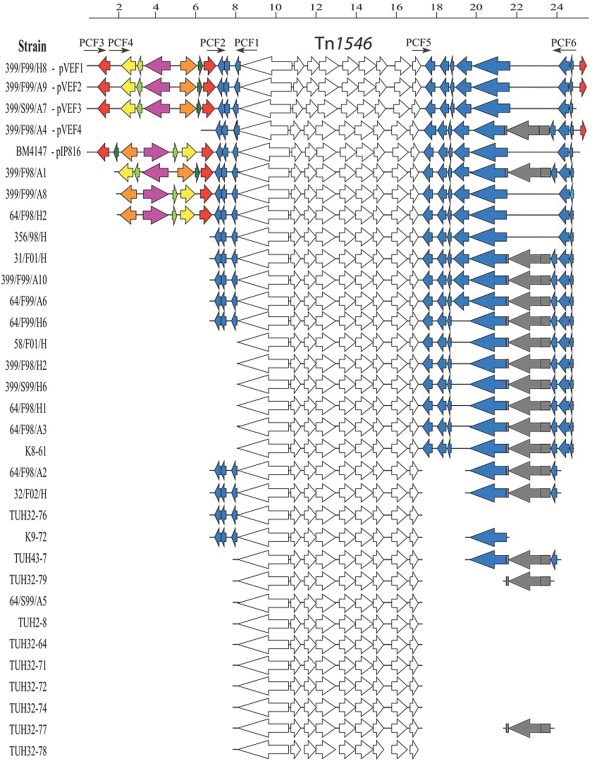 Figure 2