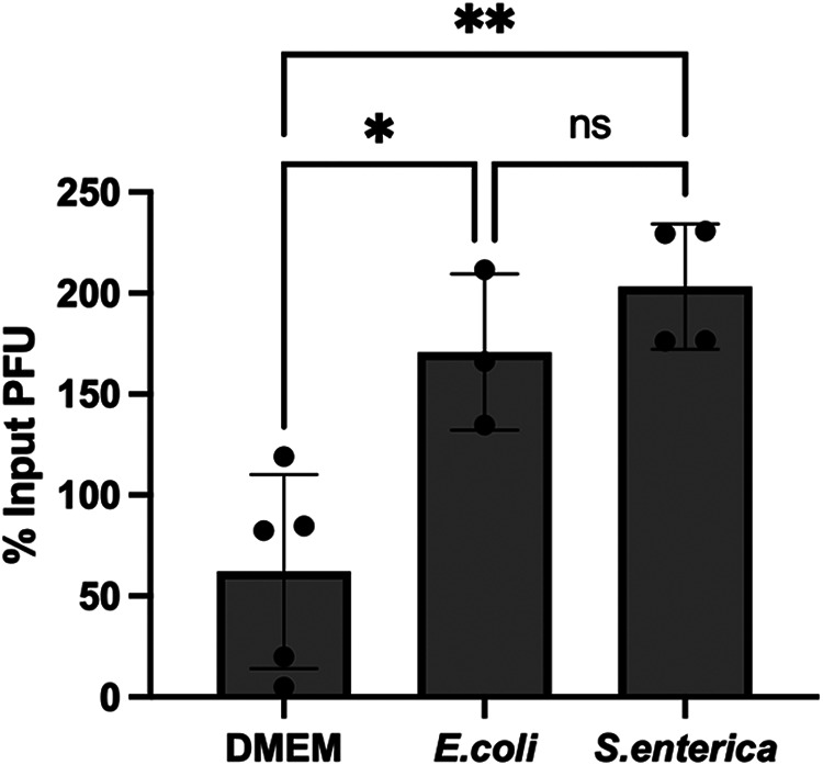 FIG 6