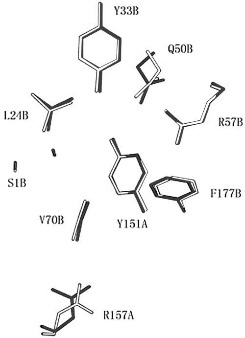 FIG. 1.