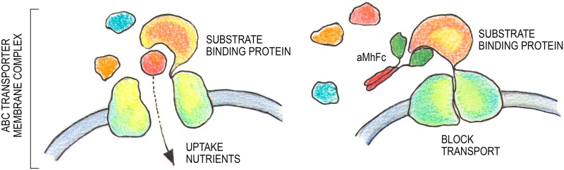 Fig 10