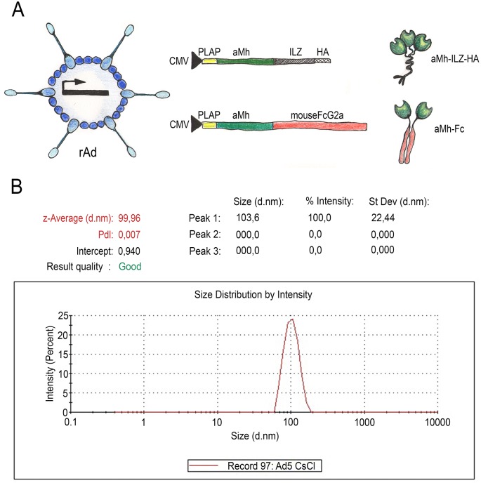 Fig 6