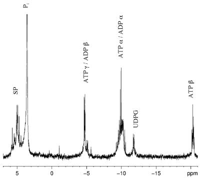 FIG. 6.