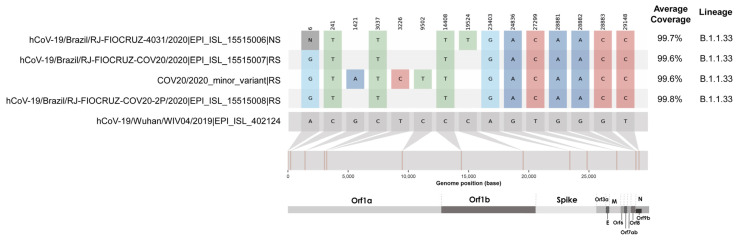 Figure 5