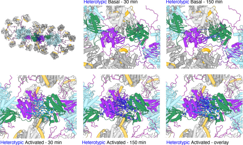 Figure 5—figure supplement 1.