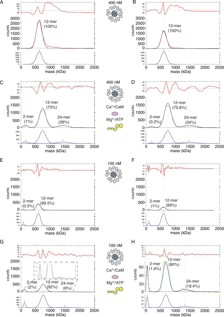 Figure 7—figure supplement 1.