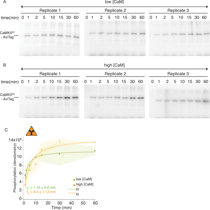 Figure 1—figure supplement 2.