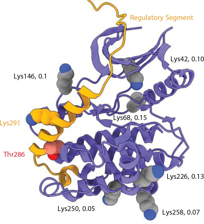 Figure 4—figure supplement 2.