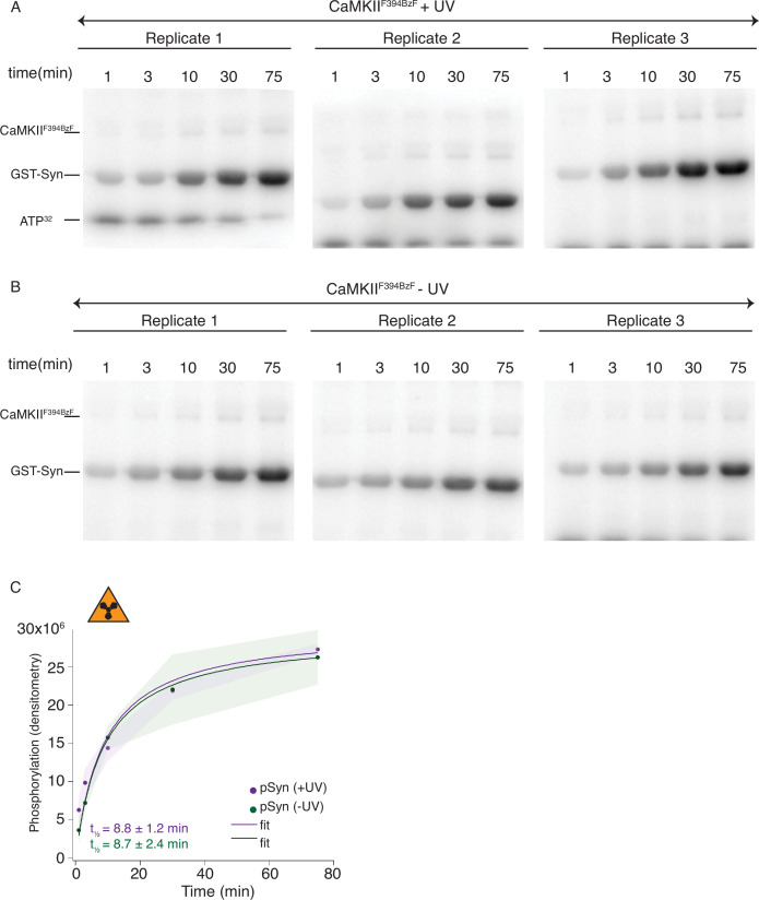 Figure 2—figure supplement 3.