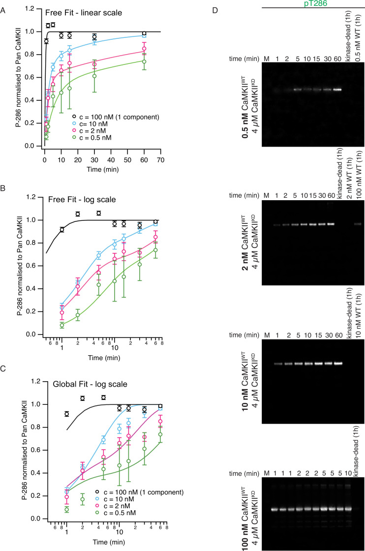 Figure 1—figure supplement 3.