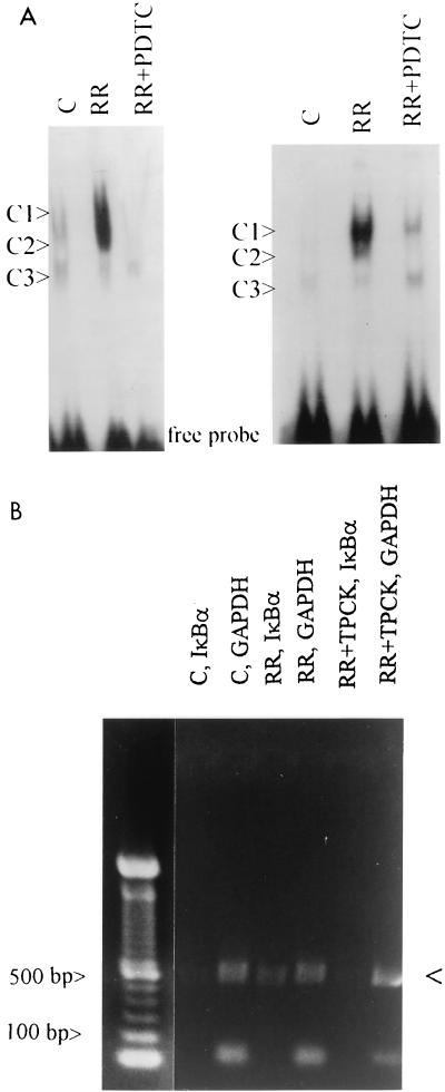 FIG. 5