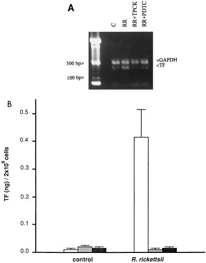 FIG. 6
