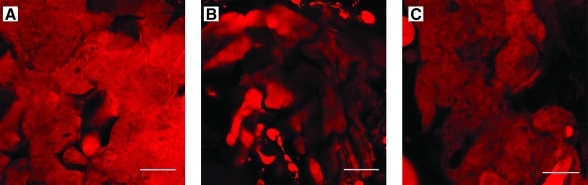 FIG. 8.