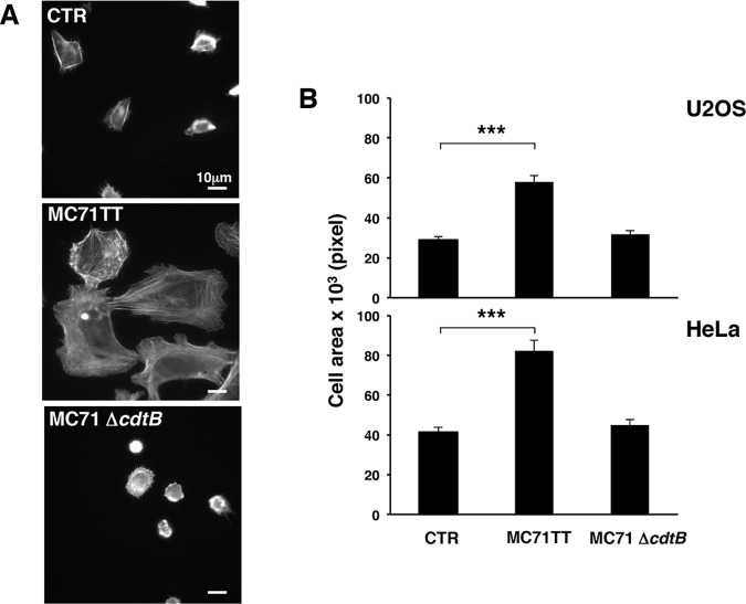 Fig 3